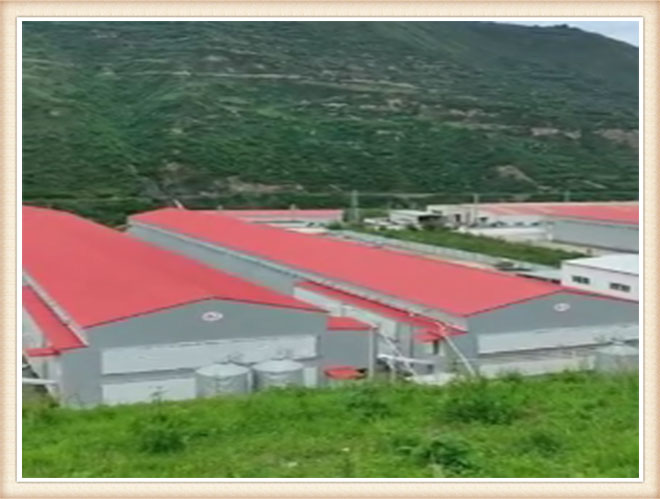 華邦鋼構宕昌項目鋼構廠