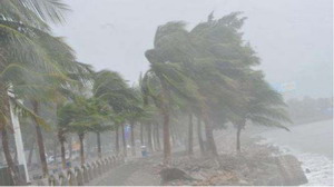 抵抗臺風的肆虐