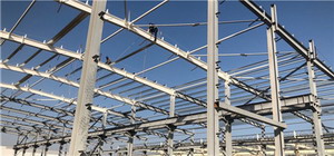 鋼構建筑的結構類型